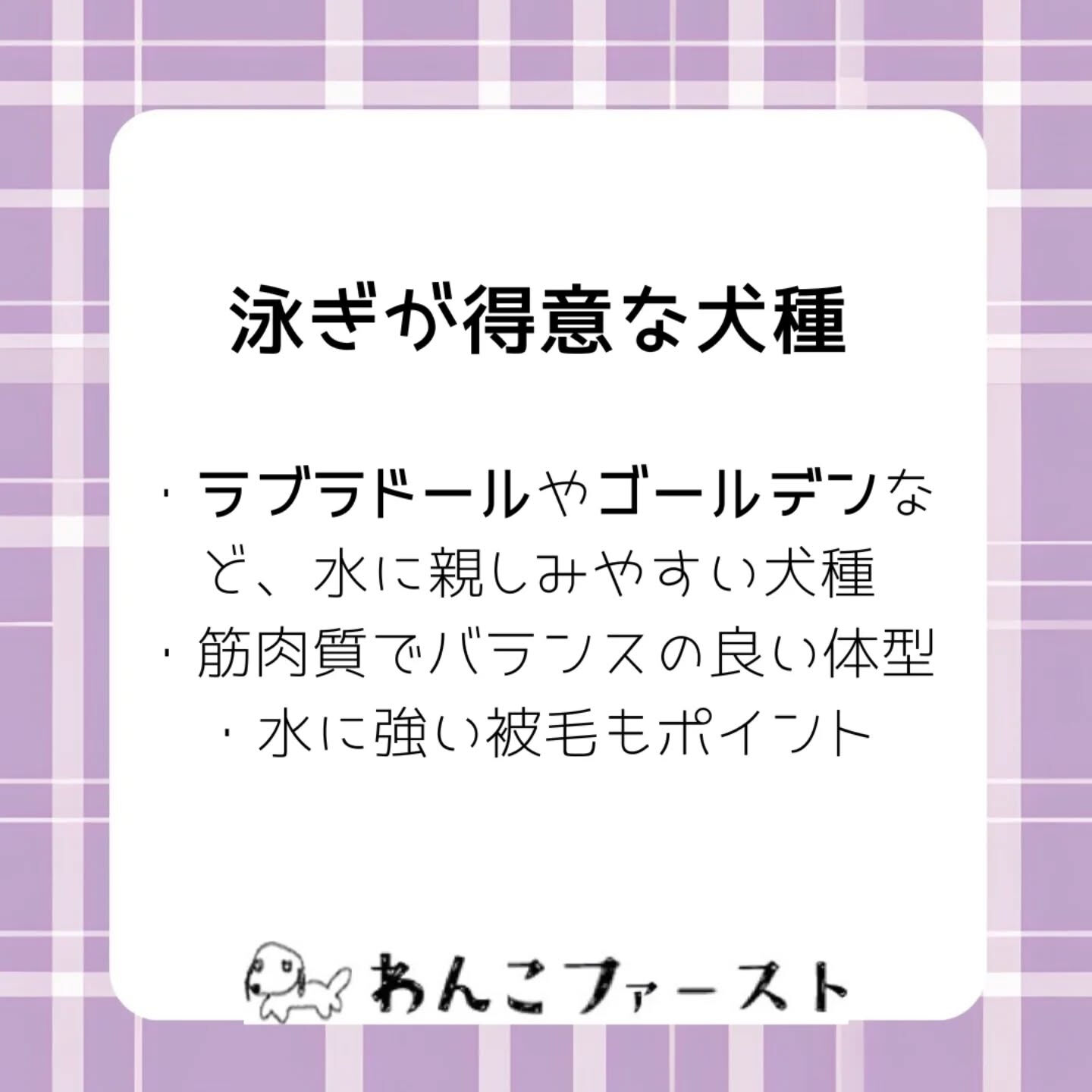 横浜市青葉区のペットシッターわんこファーストです♪