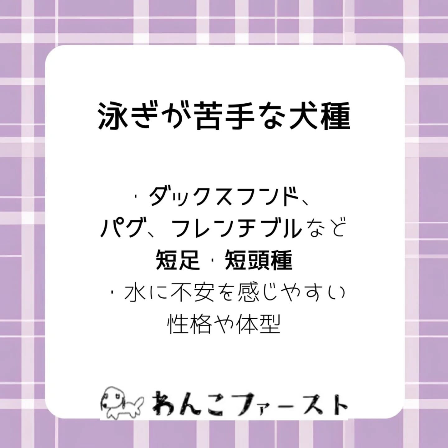 横浜市青葉区のペットシッターわんこファーストです♪