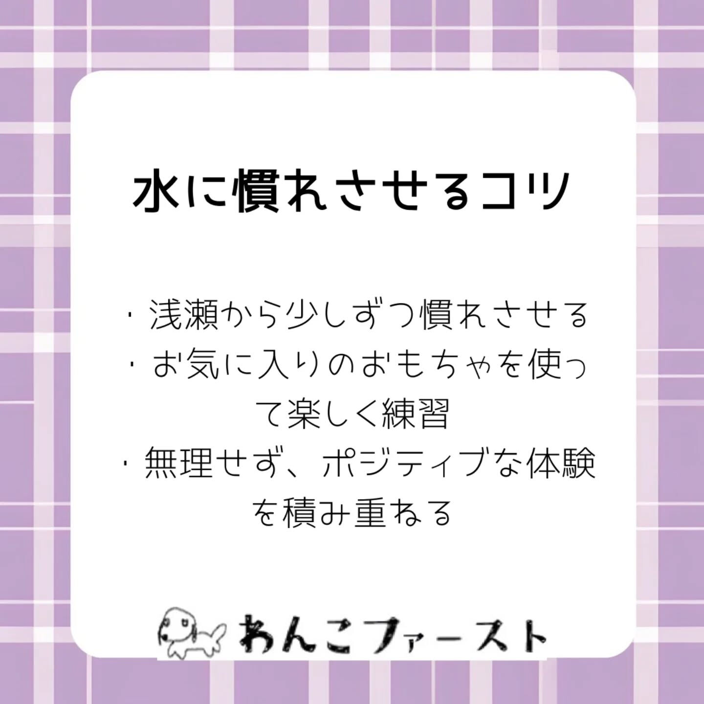 横浜市青葉区のペットシッターわんこファーストです♪