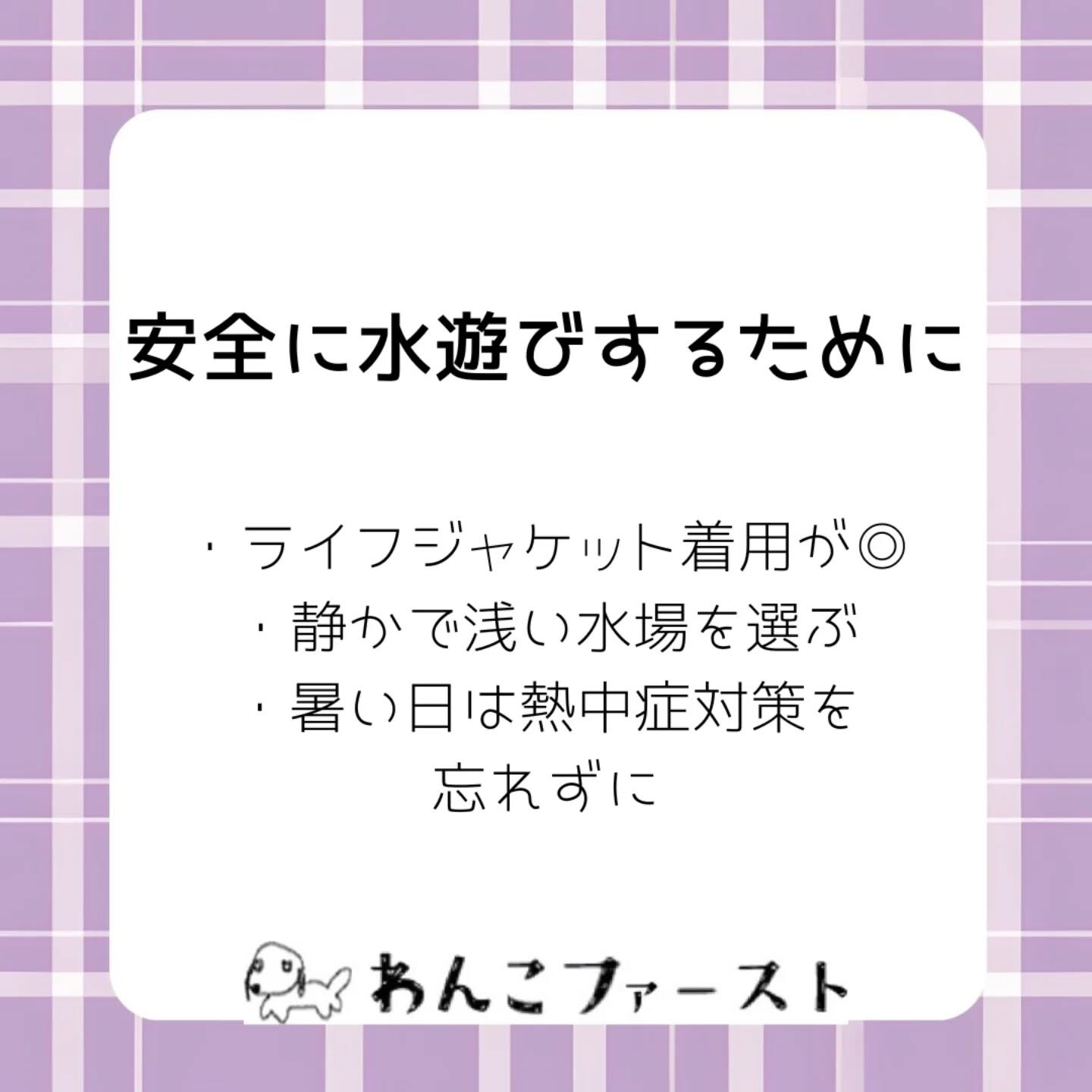 横浜市青葉区のペットシッターわんこファーストです♪