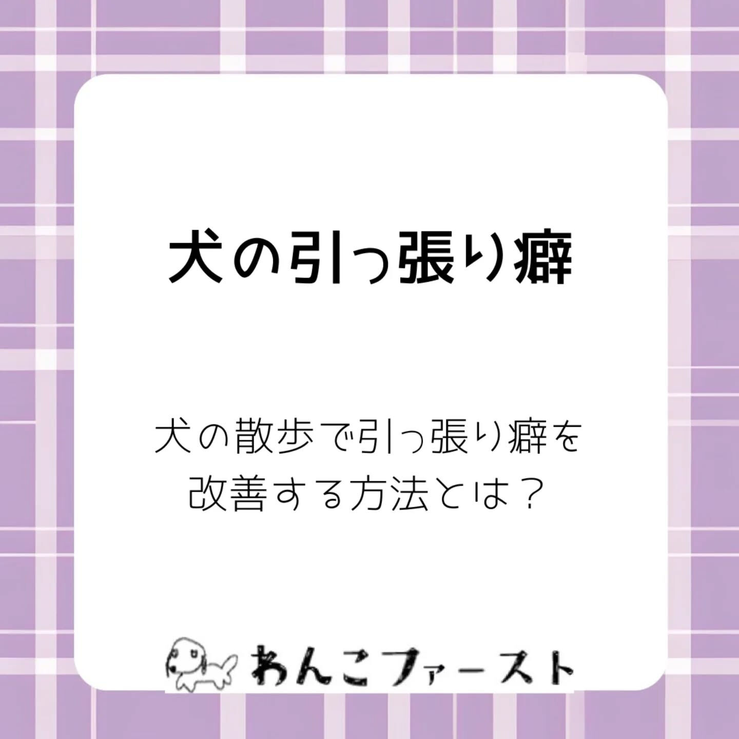 横浜市青葉区のペットシッターわんこファーストです♪