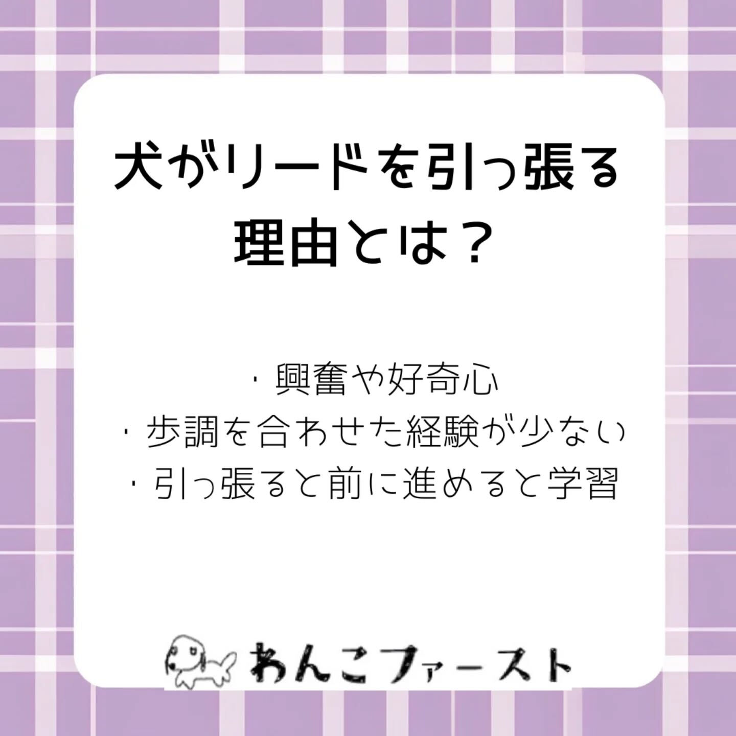 横浜市青葉区のペットシッターわんこファーストです♪