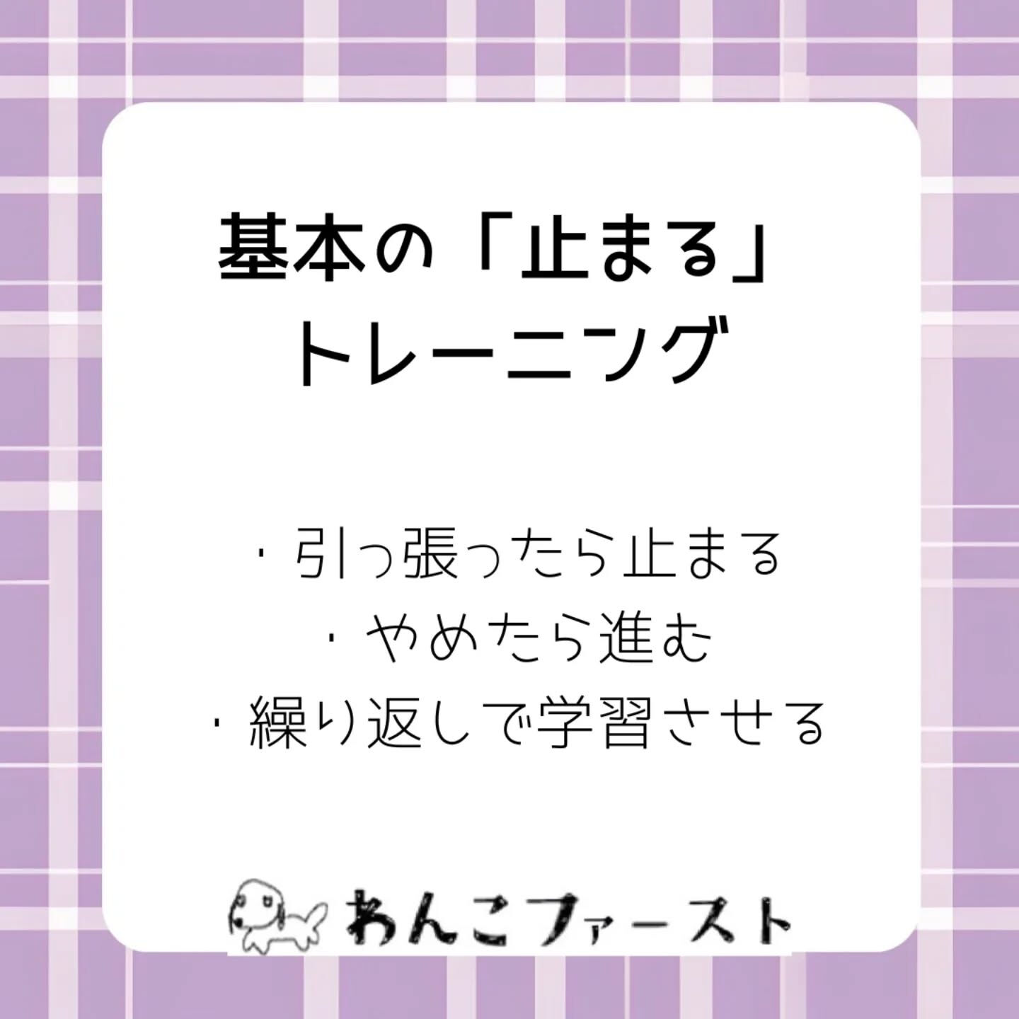 横浜市青葉区のペットシッターわんこファーストです♪