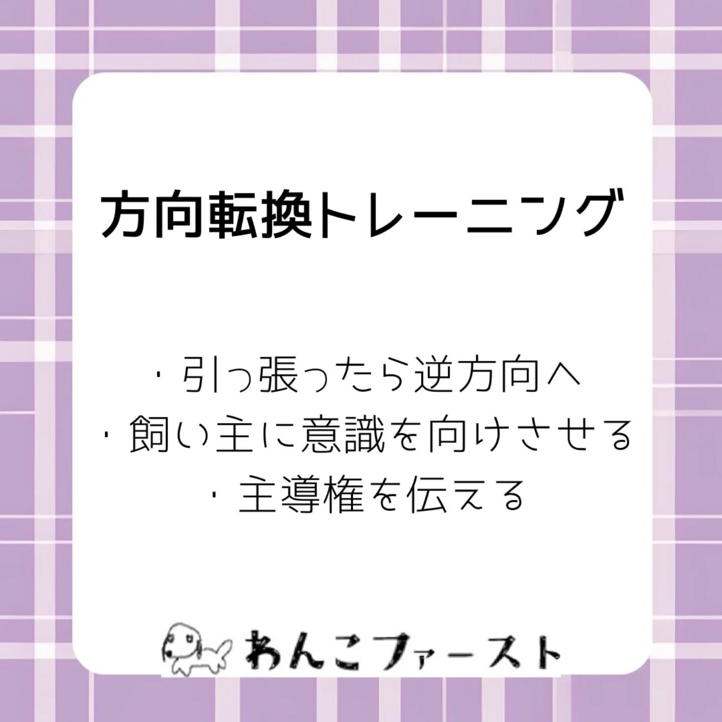 横浜市青葉区のペットシッターわんこファーストです♪