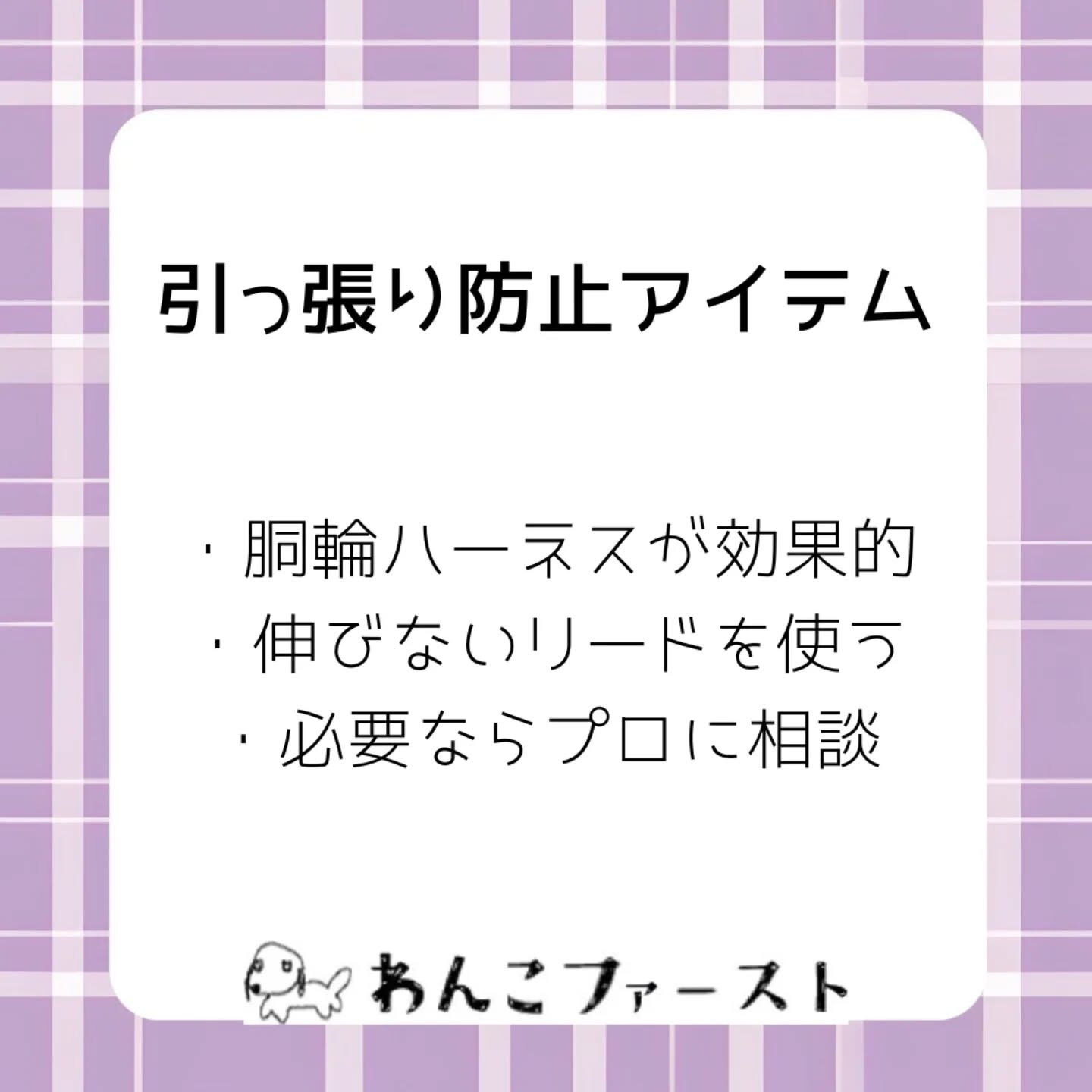 横浜市青葉区のペットシッターわんこファーストです♪