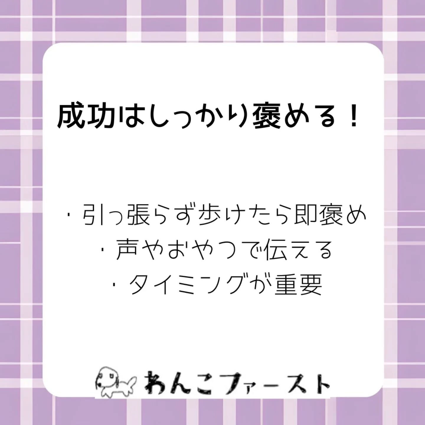 横浜市青葉区のペットシッターわんこファーストです♪
