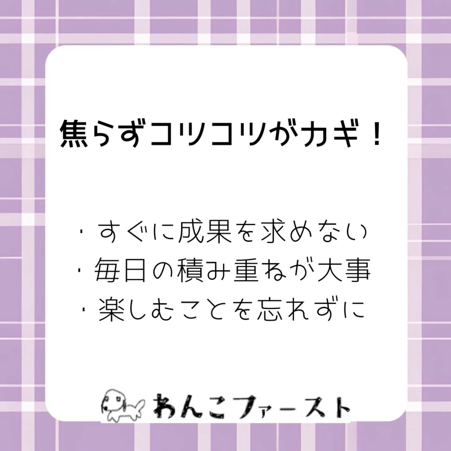 横浜市青葉区のペットシッターわんこファーストです♪