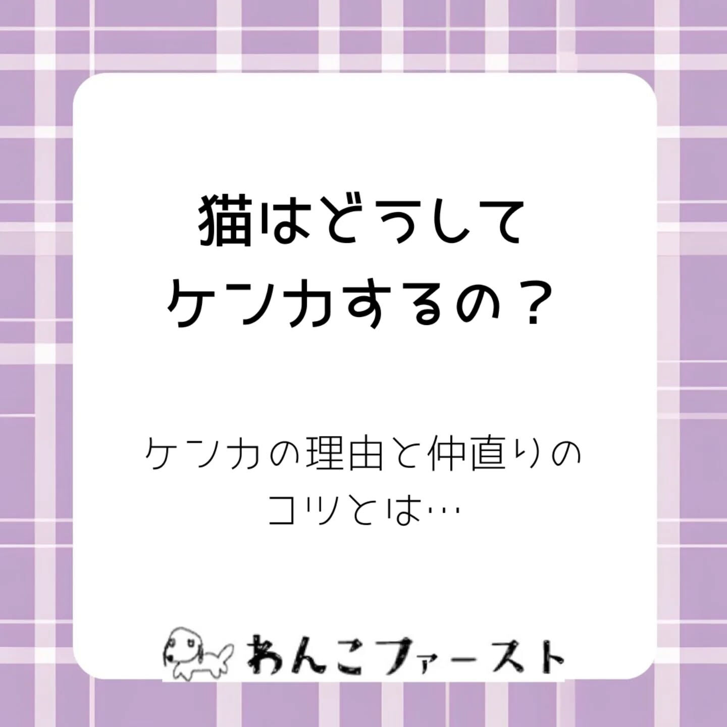 横浜市青葉区のペットシッターわんこファーストです♪