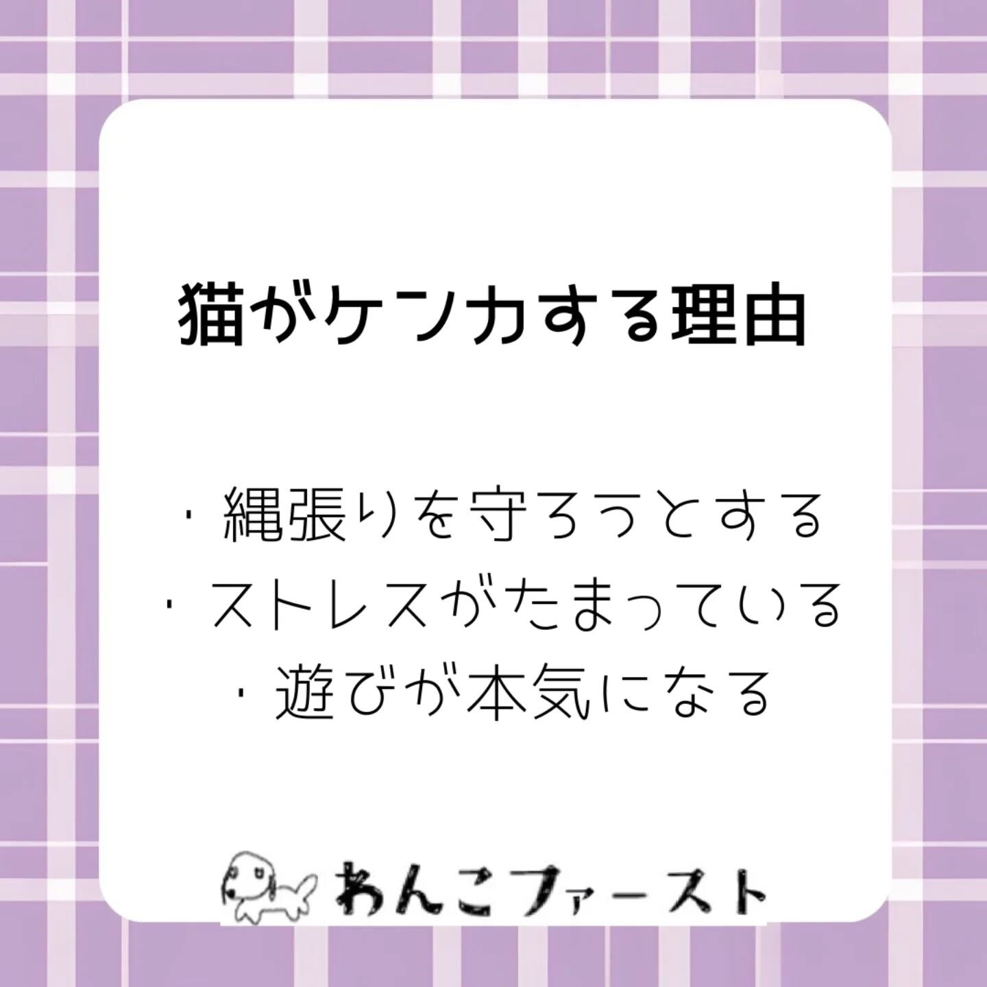 横浜市青葉区のペットシッターわんこファーストです♪