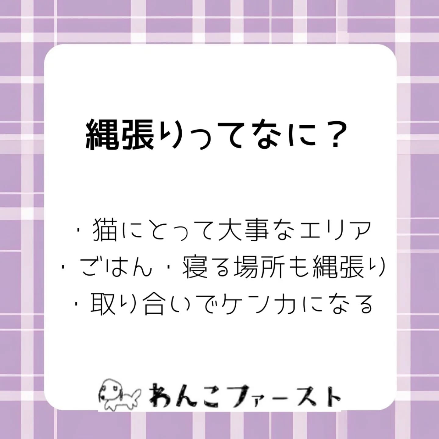 横浜市青葉区のペットシッターわんこファーストです♪