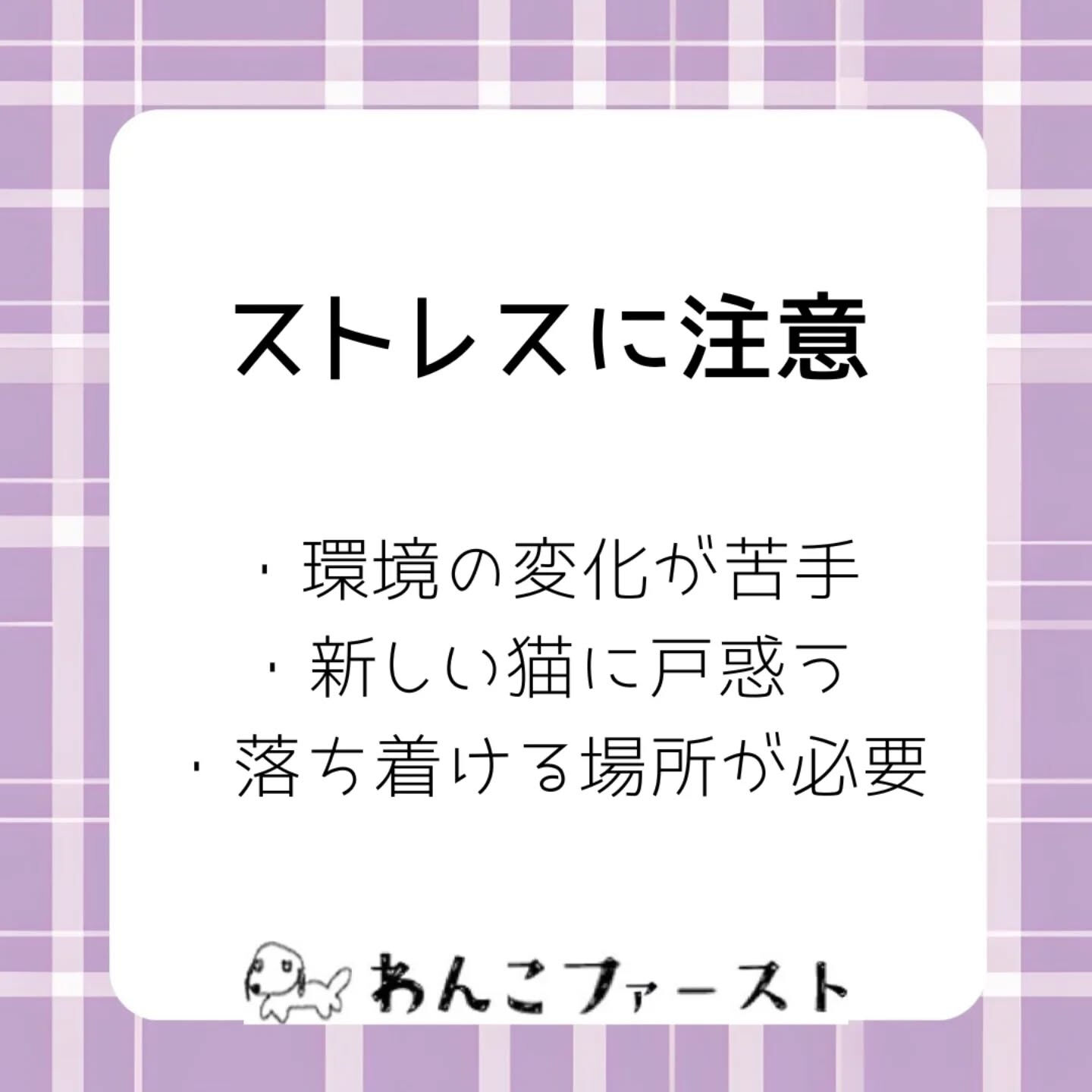 横浜市青葉区のペットシッターわんこファーストです♪