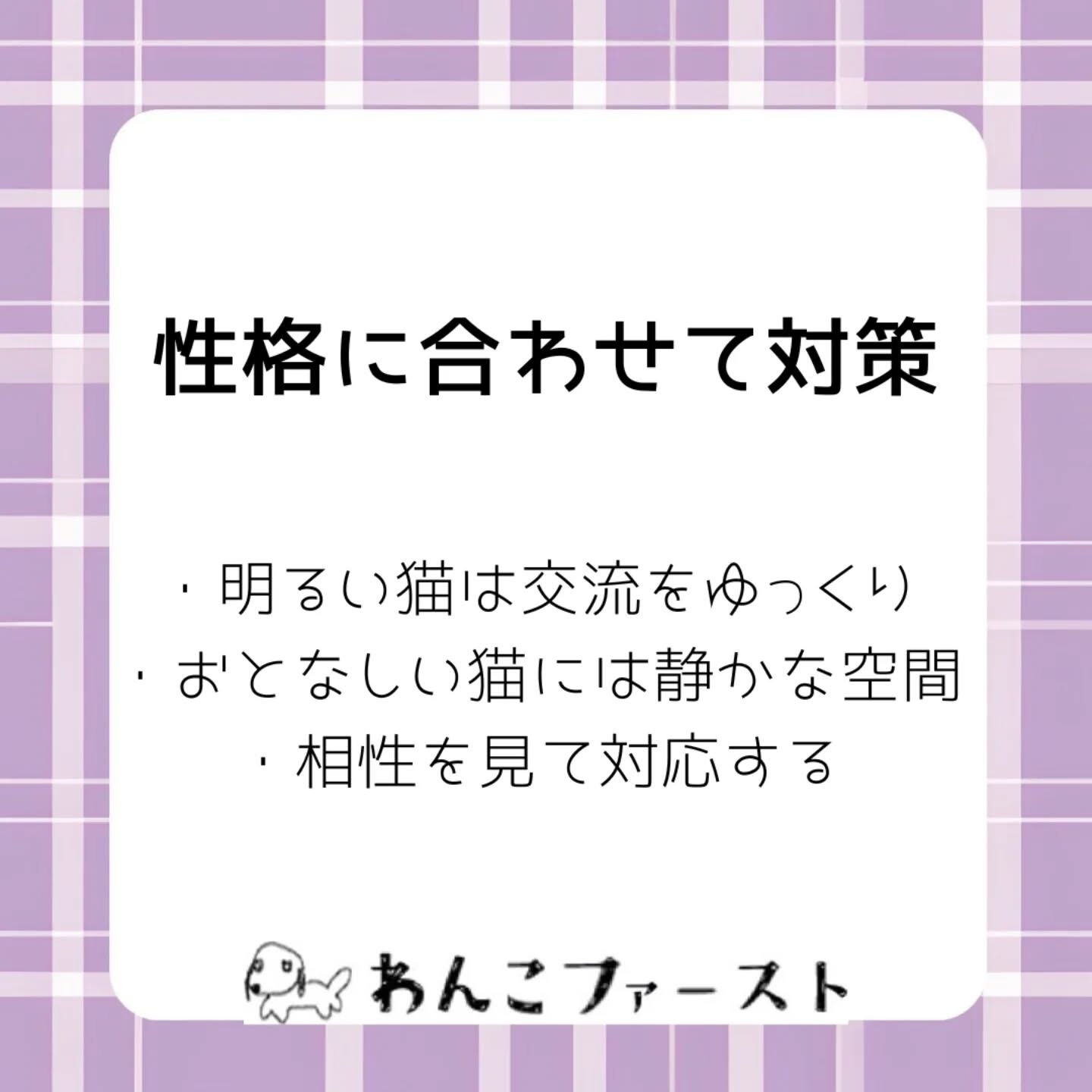 横浜市青葉区のペットシッターわんこファーストです♪