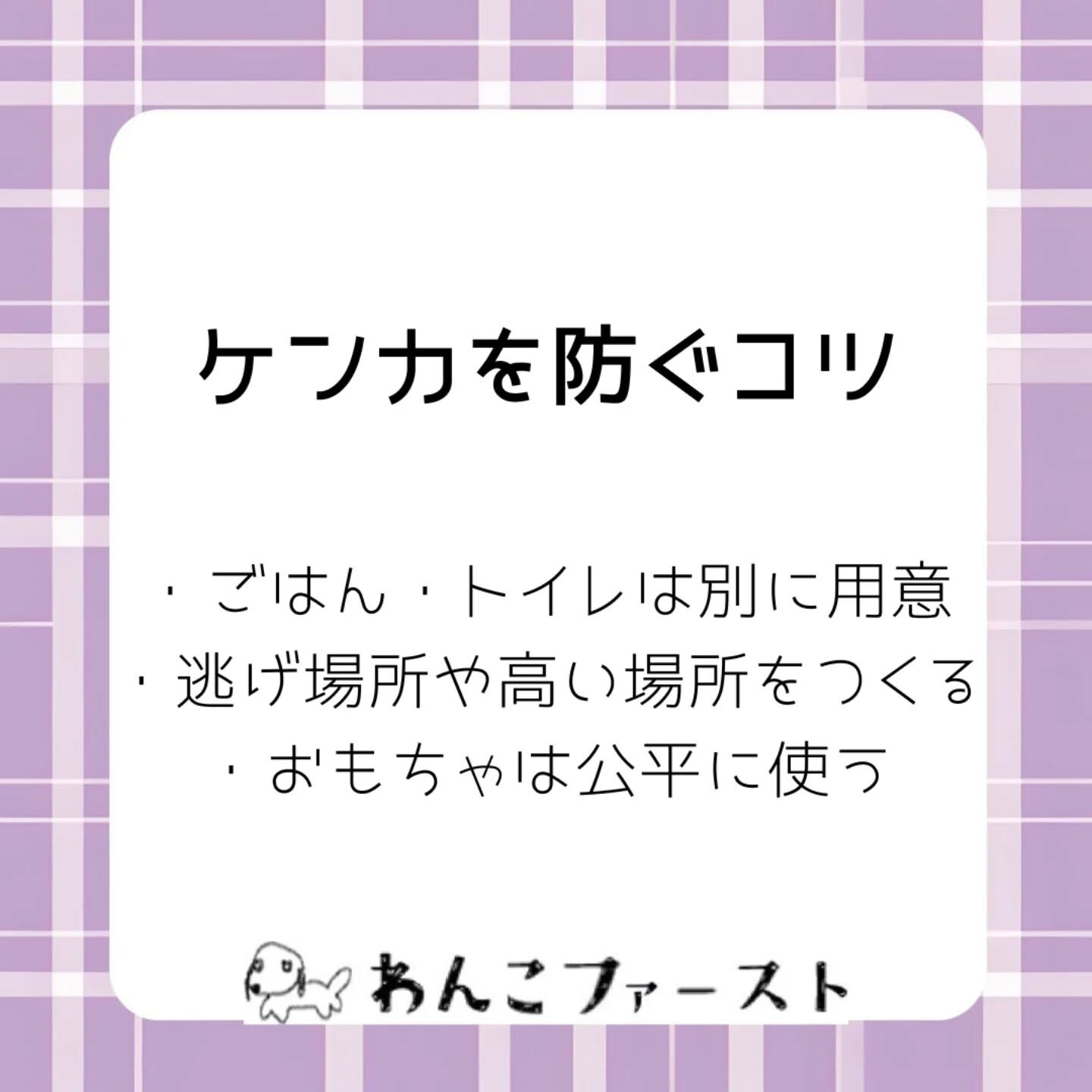 横浜市青葉区のペットシッターわんこファーストです♪