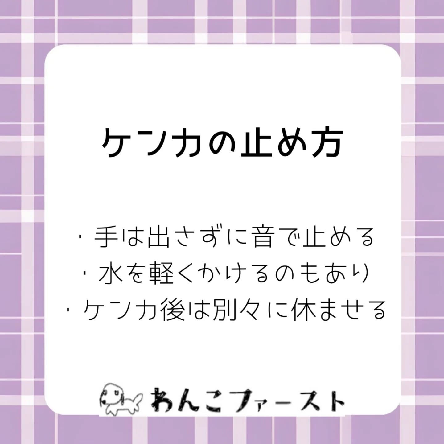 横浜市青葉区のペットシッターわんこファーストです♪