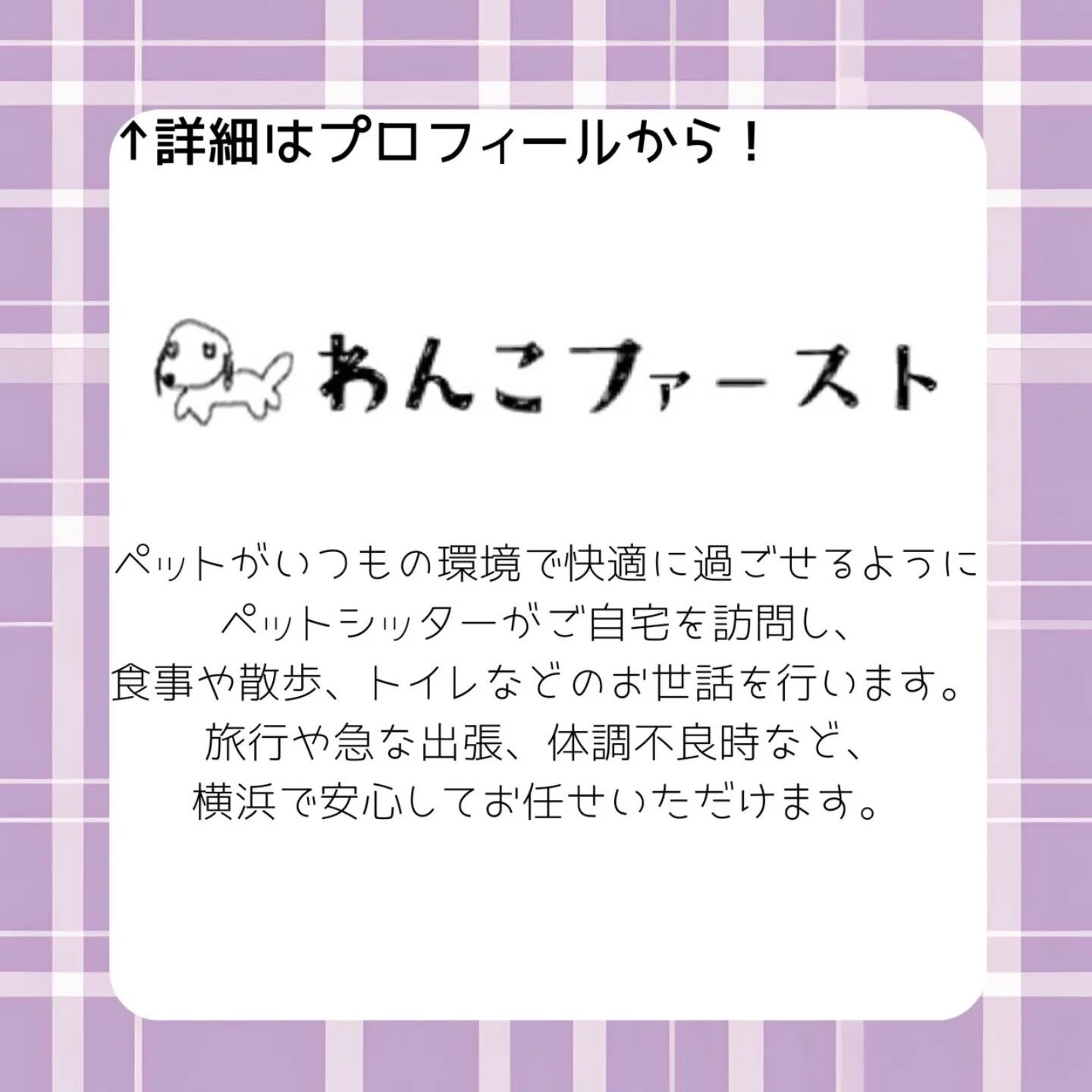 横浜市青葉区のペットシッターわんこファーストです♪