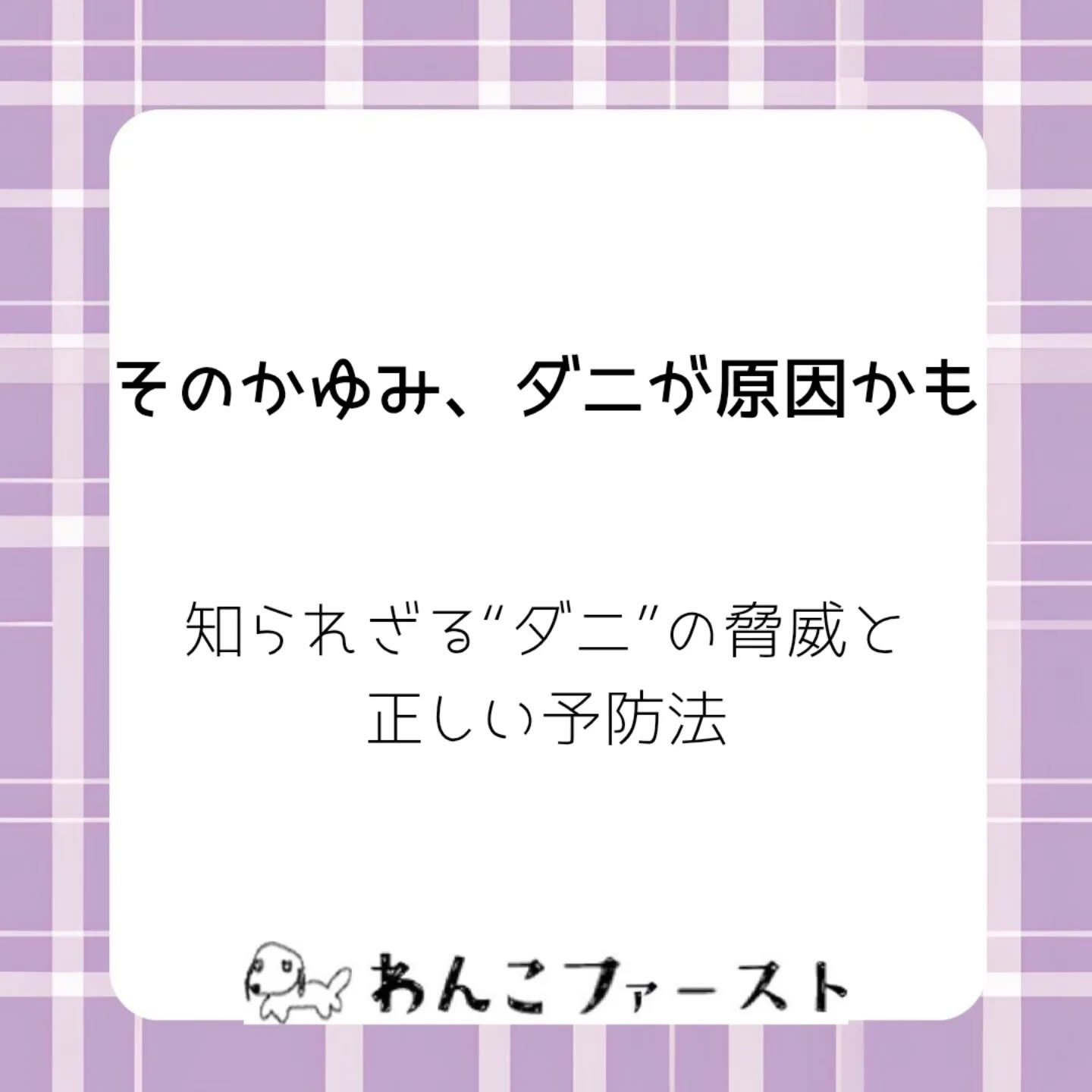 横浜市青葉区のペットシッターわんこファーストです♪