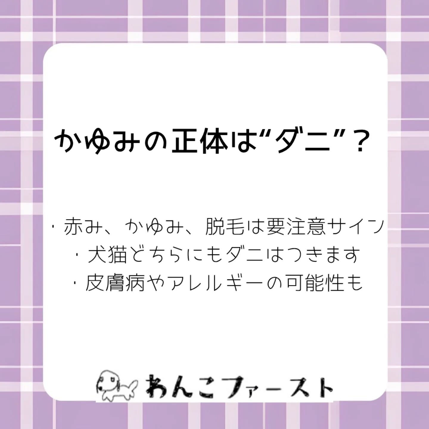 横浜市青葉区のペットシッターわんこファーストです♪