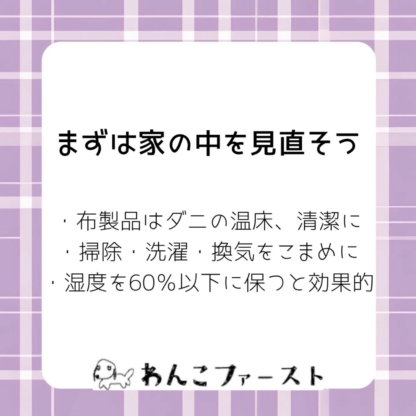横浜市青葉区のペットシッターわんこファーストです♪