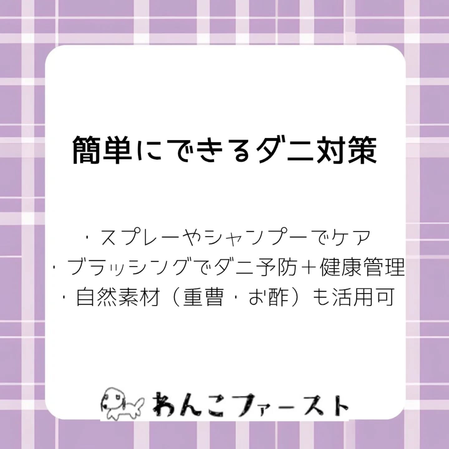 横浜市青葉区のペットシッターわんこファーストです♪