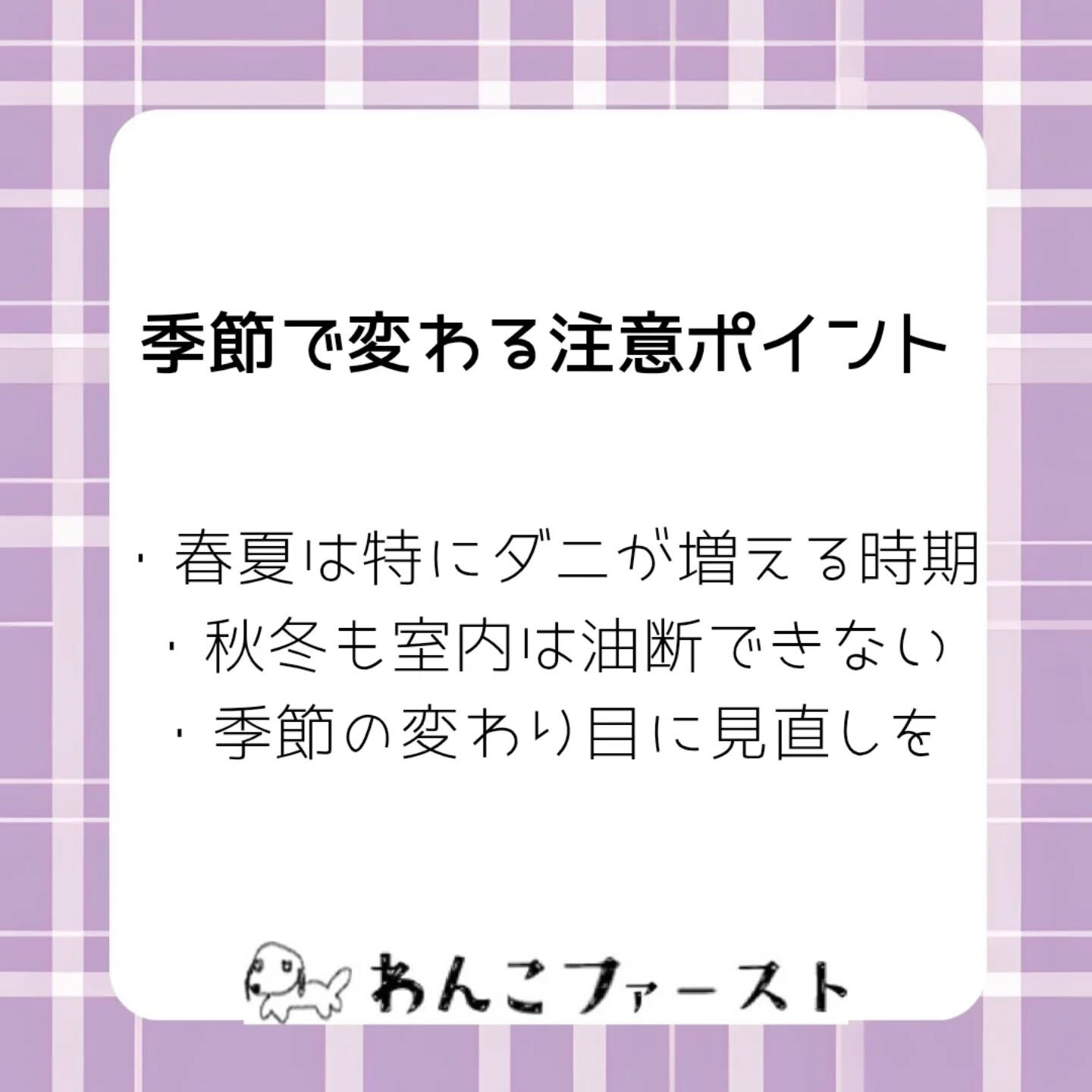 横浜市青葉区のペットシッターわんこファーストです♪