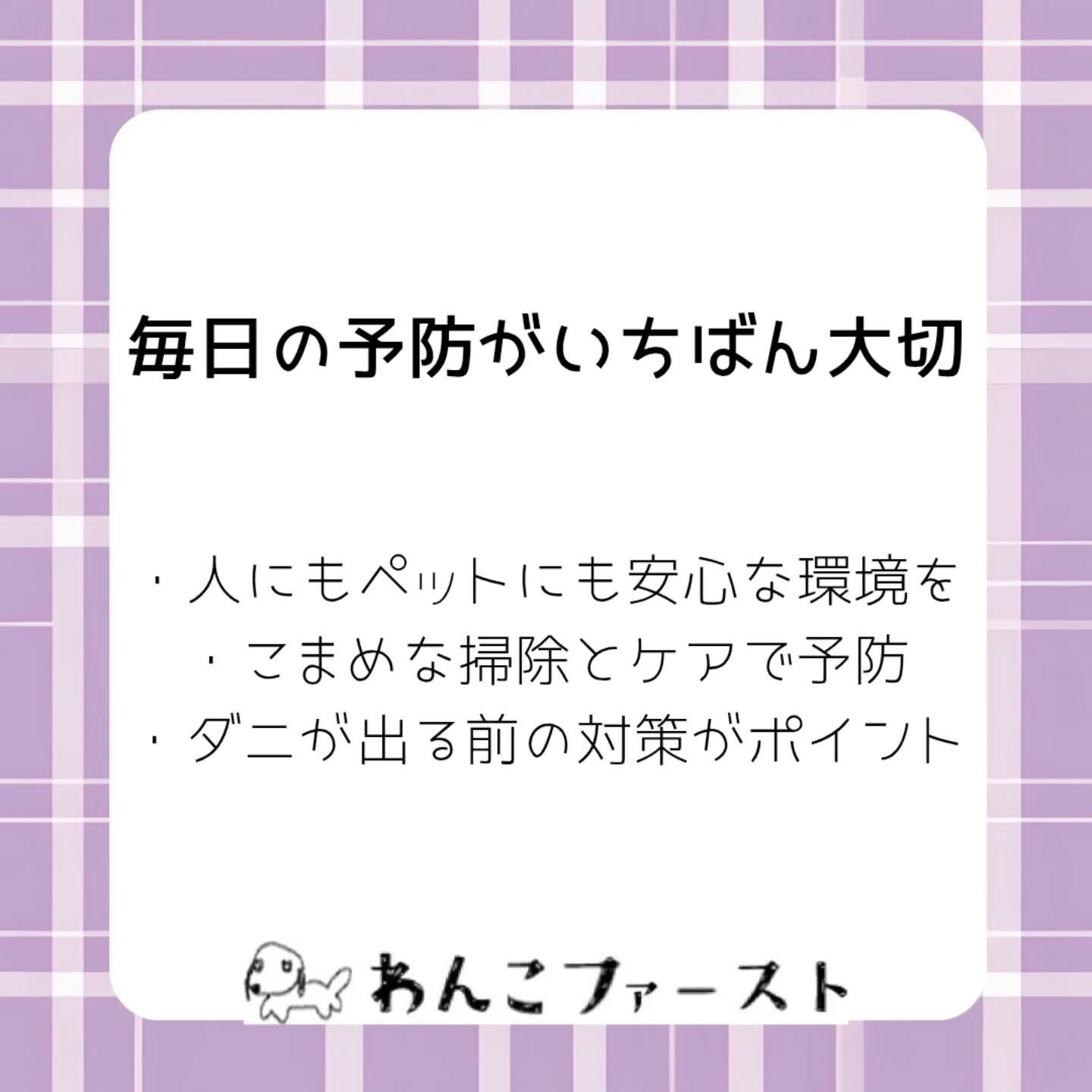 横浜市青葉区のペットシッターわんこファーストです♪