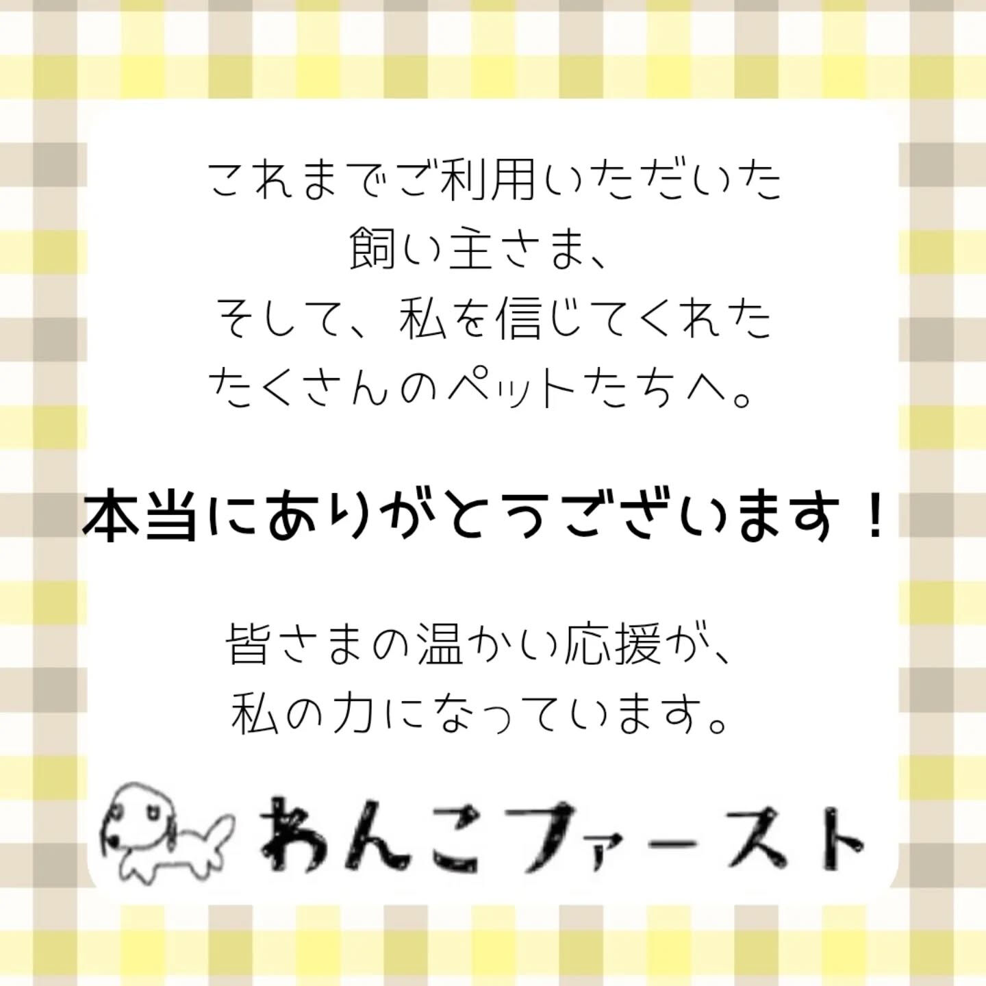 横浜市青葉区のペットシッターわんこファーストです♪