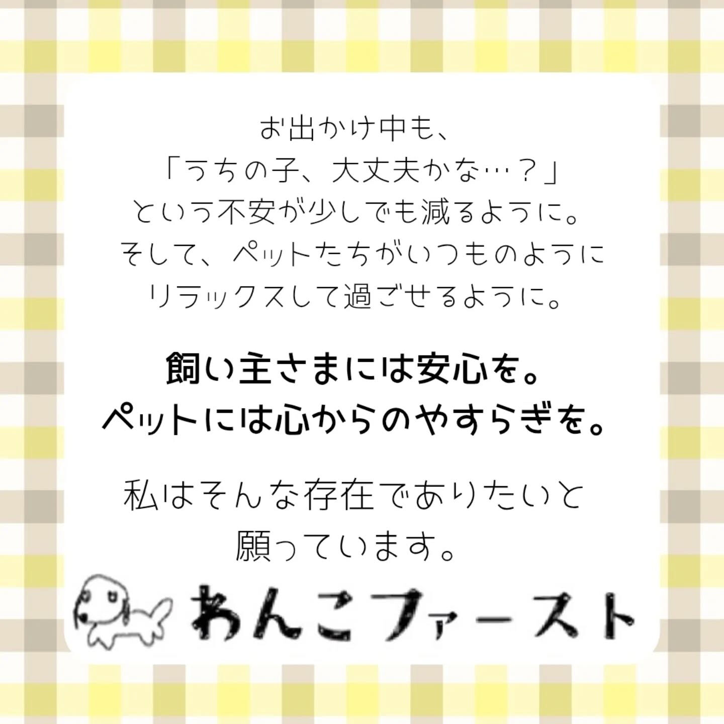横浜市青葉区のペットシッターわんこファーストです♪