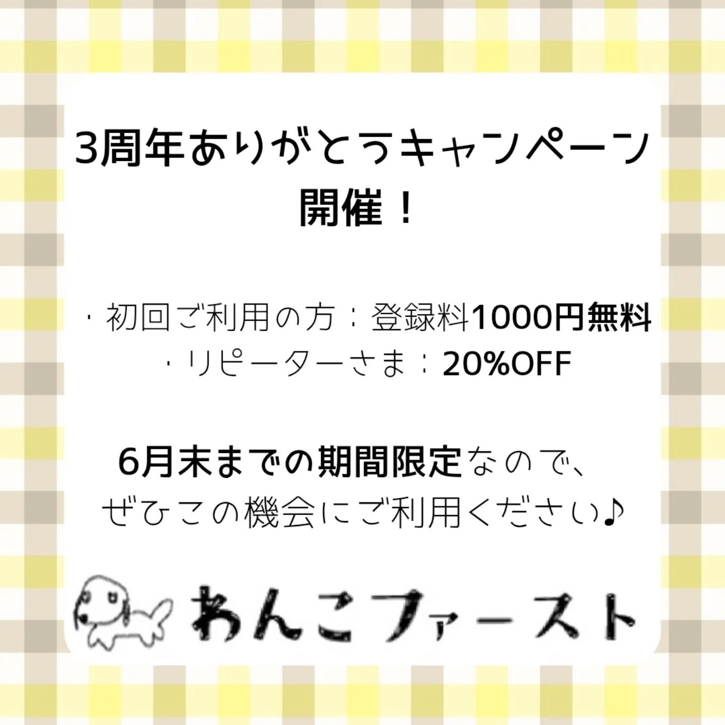 横浜市青葉区のペットシッターわんこファーストです♪