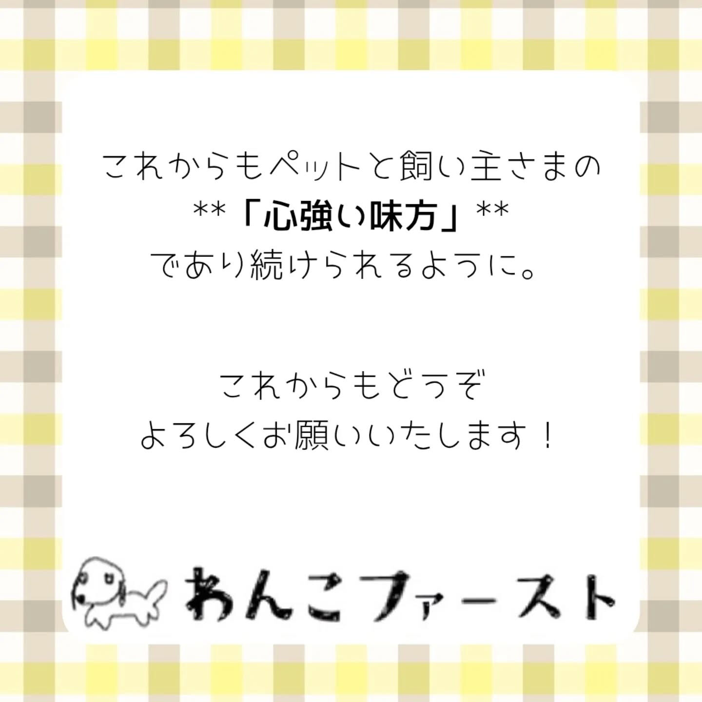 横浜市青葉区のペットシッターわんこファーストです♪