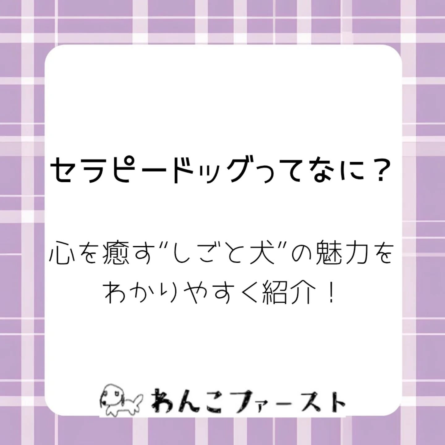 横浜市青葉区のペットシッターわんこファーストです♪
