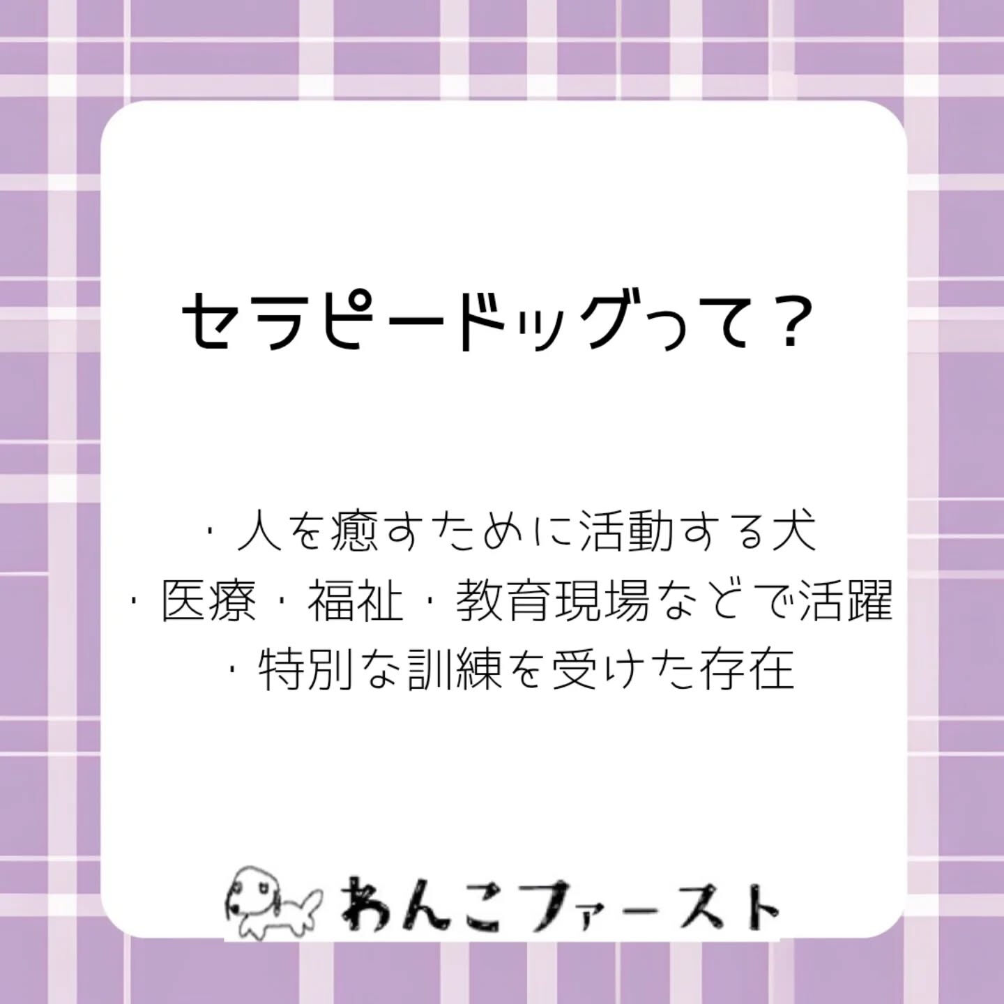 横浜市青葉区のペットシッターわんこファーストです♪