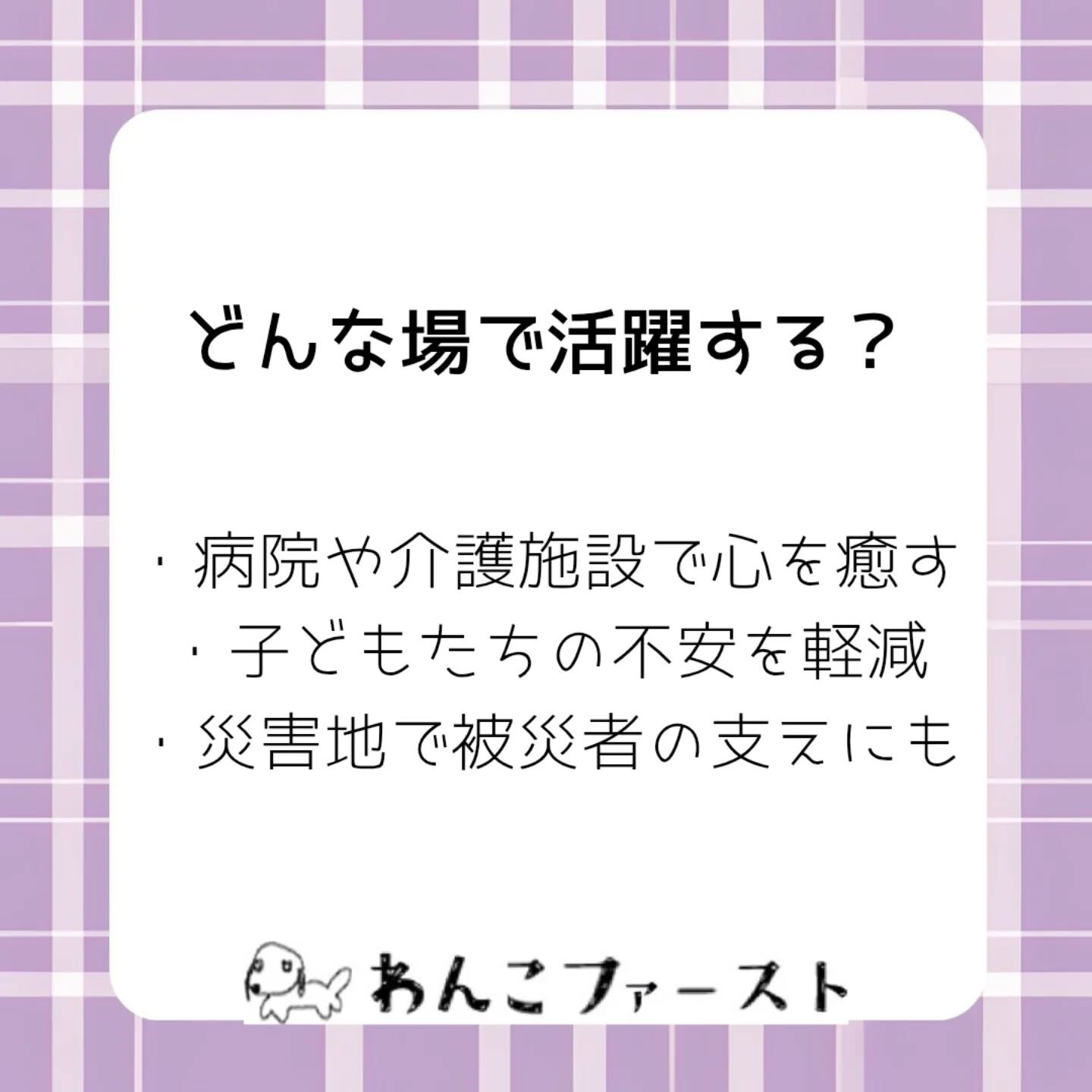 横浜市青葉区のペットシッターわんこファーストです♪