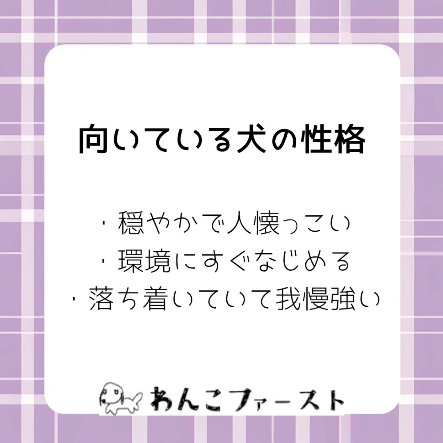 横浜市青葉区のペットシッターわんこファーストです♪