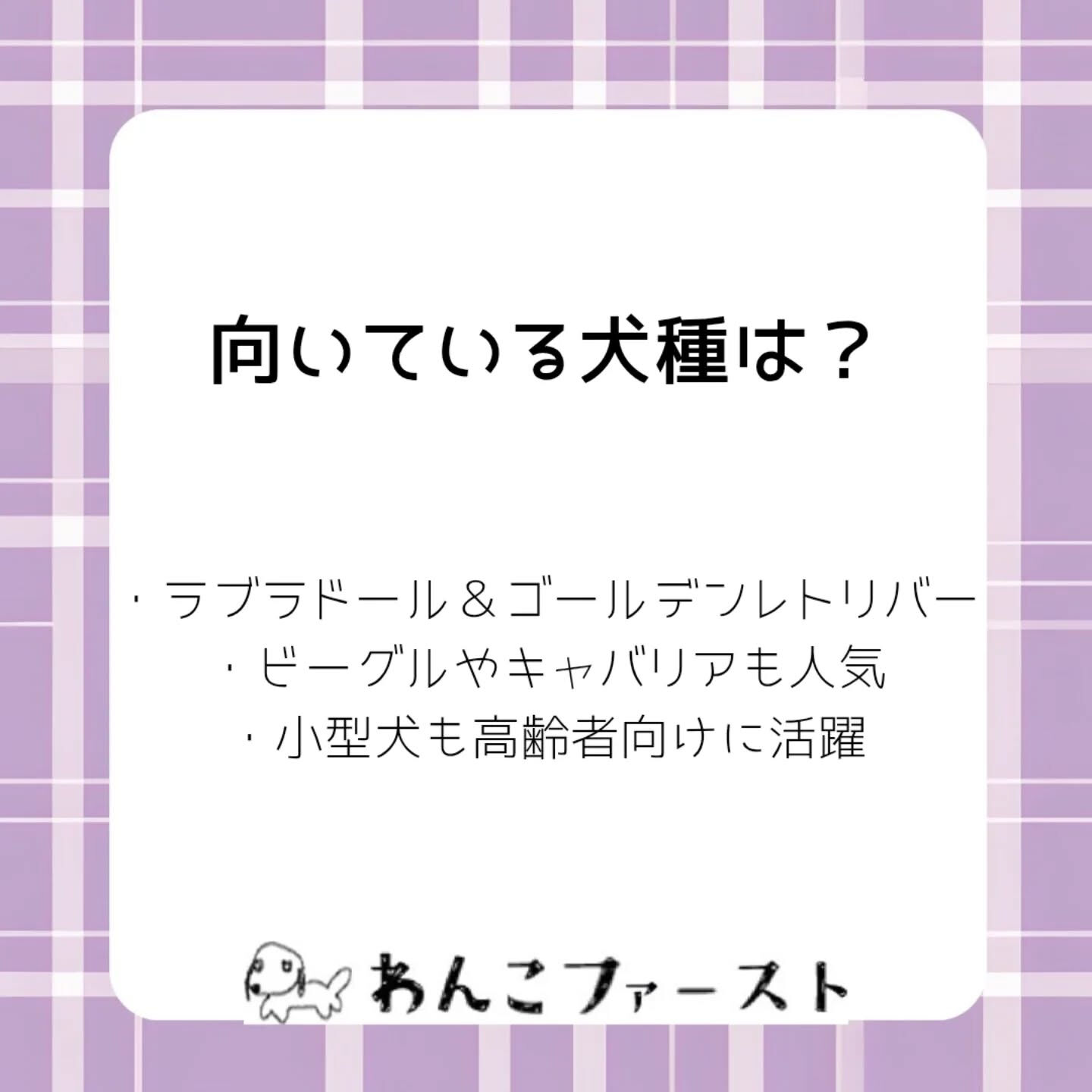 横浜市青葉区のペットシッターわんこファーストです♪