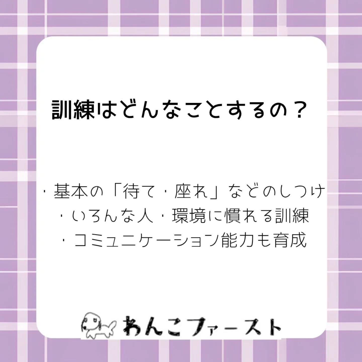 横浜市青葉区のペットシッターわんこファーストです♪