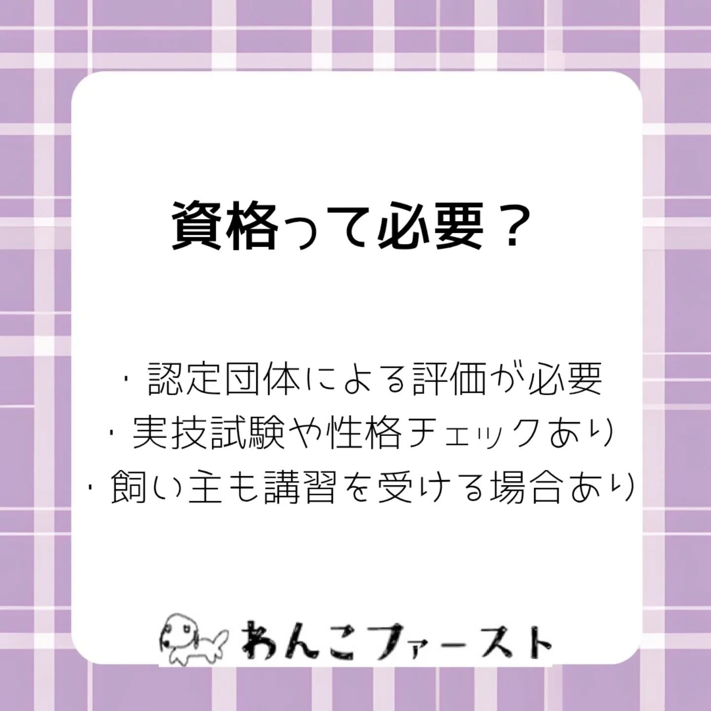 横浜市青葉区のペットシッターわんこファーストです♪