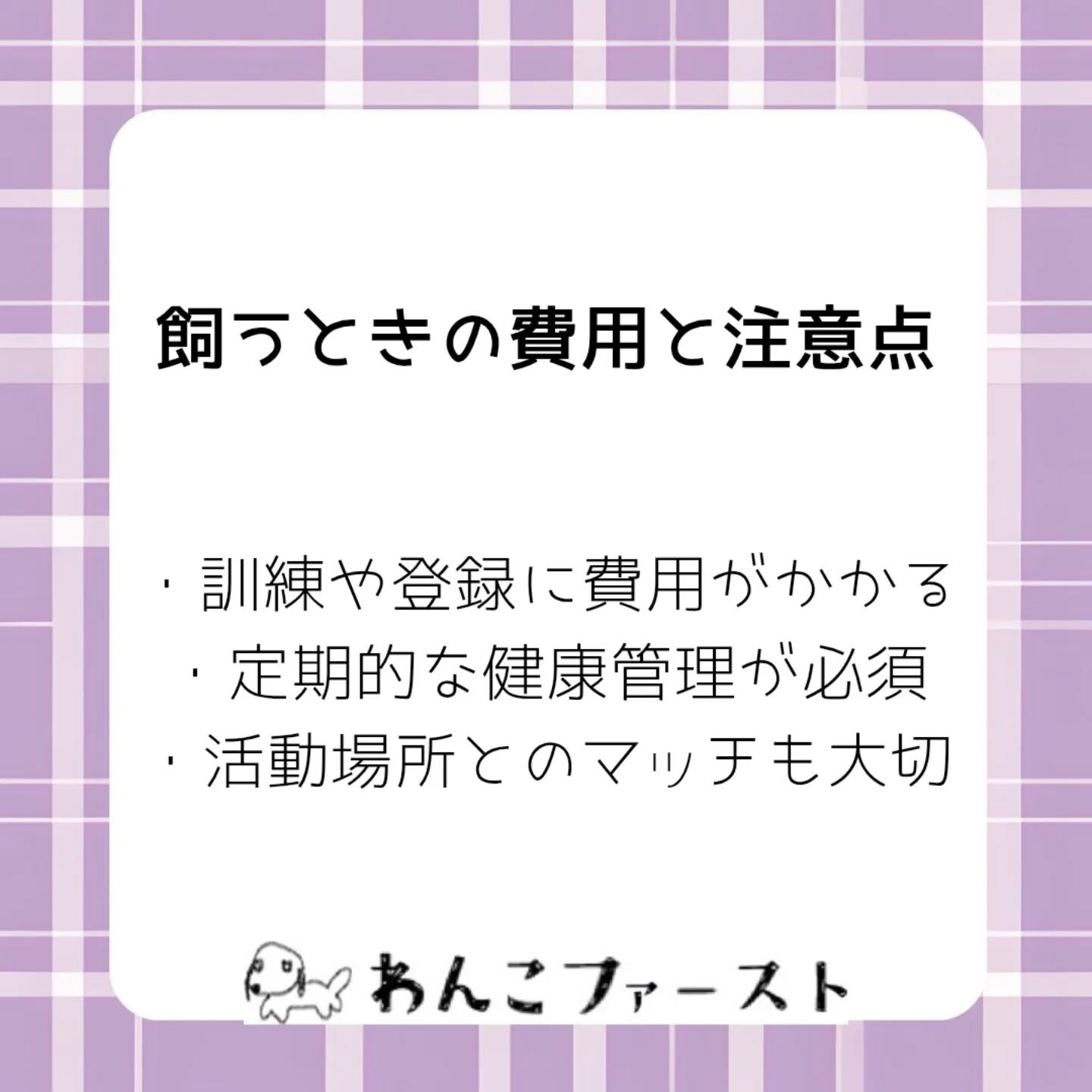 横浜市青葉区のペットシッターわんこファーストです♪