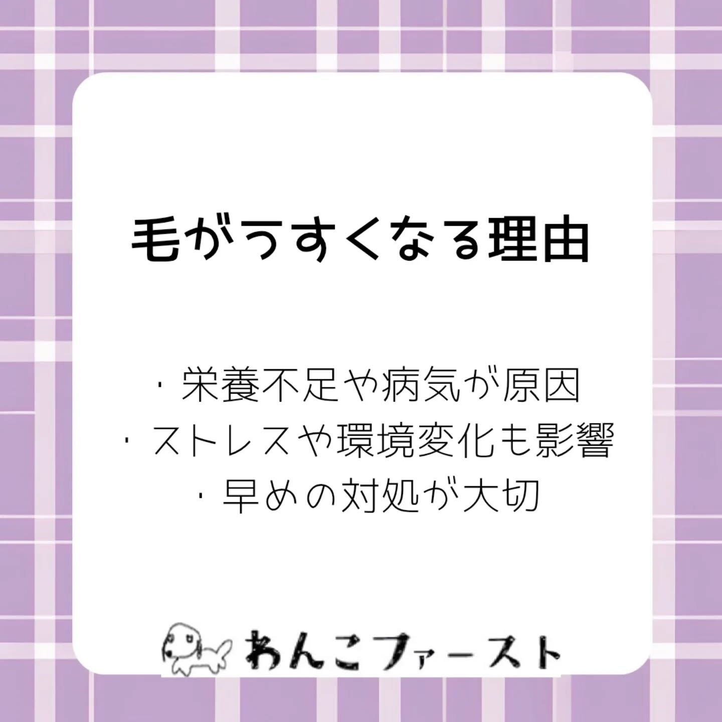 横浜市青葉区のペットシッターわんこファーストです♪