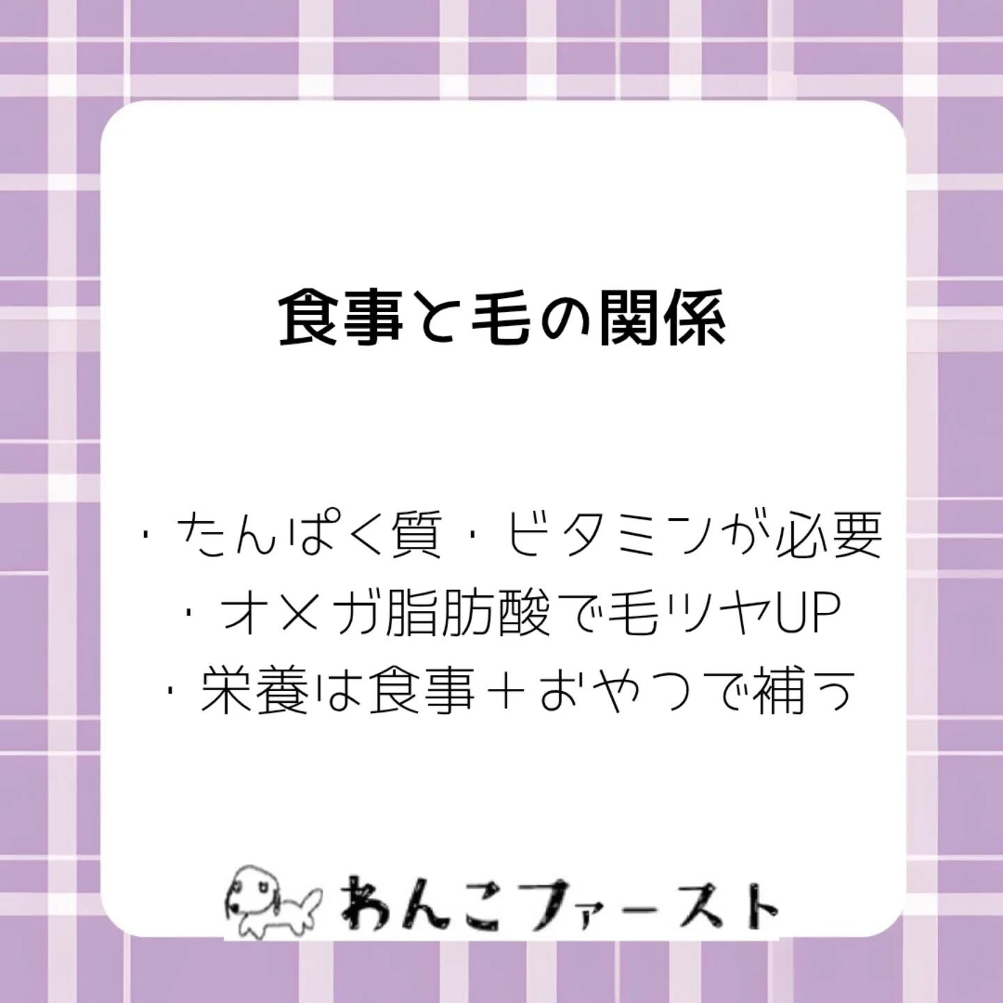 横浜市青葉区のペットシッターわんこファーストです♪