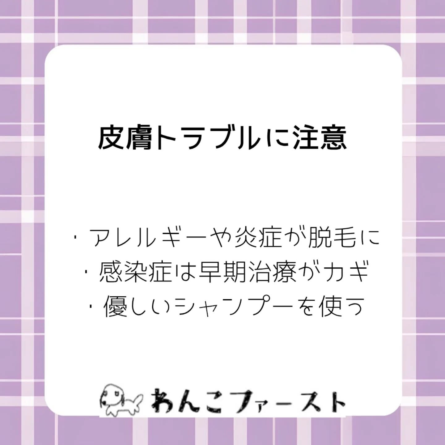横浜市青葉区のペットシッターわんこファーストです♪