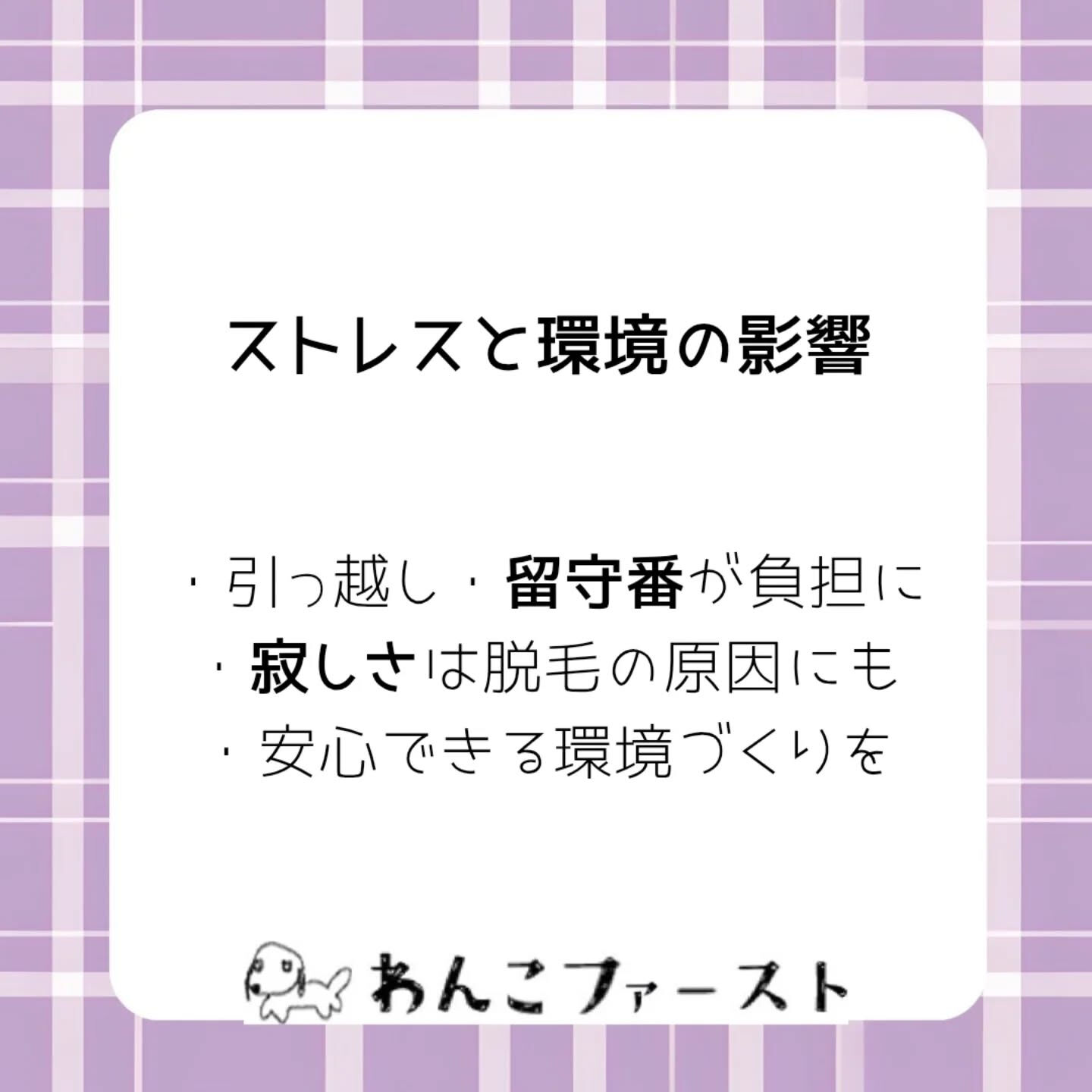 横浜市青葉区のペットシッターわんこファーストです♪