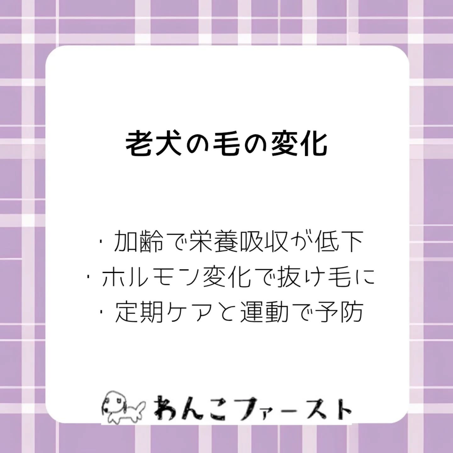 横浜市青葉区のペットシッターわんこファーストです♪