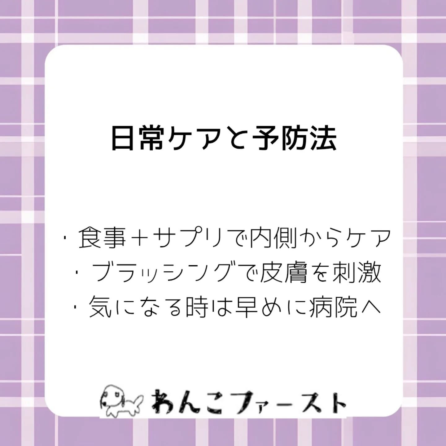 横浜市青葉区のペットシッターわんこファーストです♪