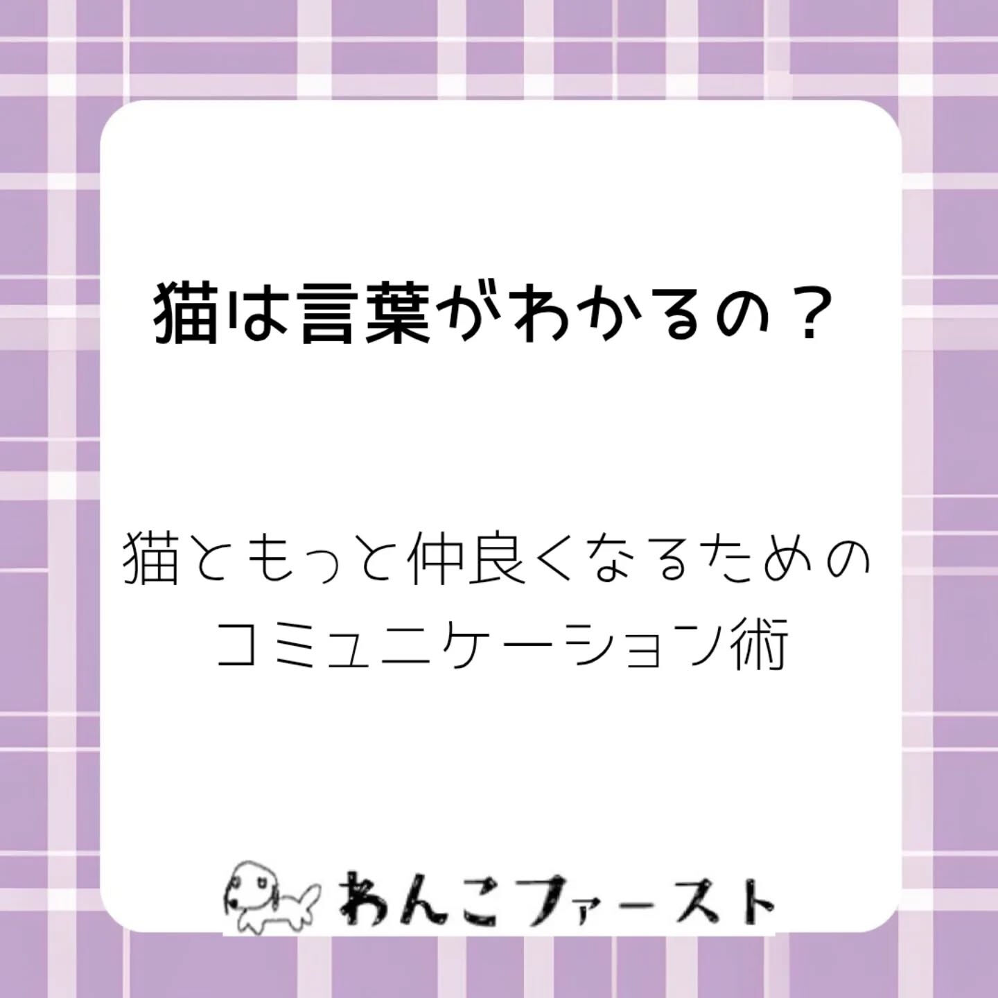 横浜市青葉区のペットシッターわんこファーストです♪