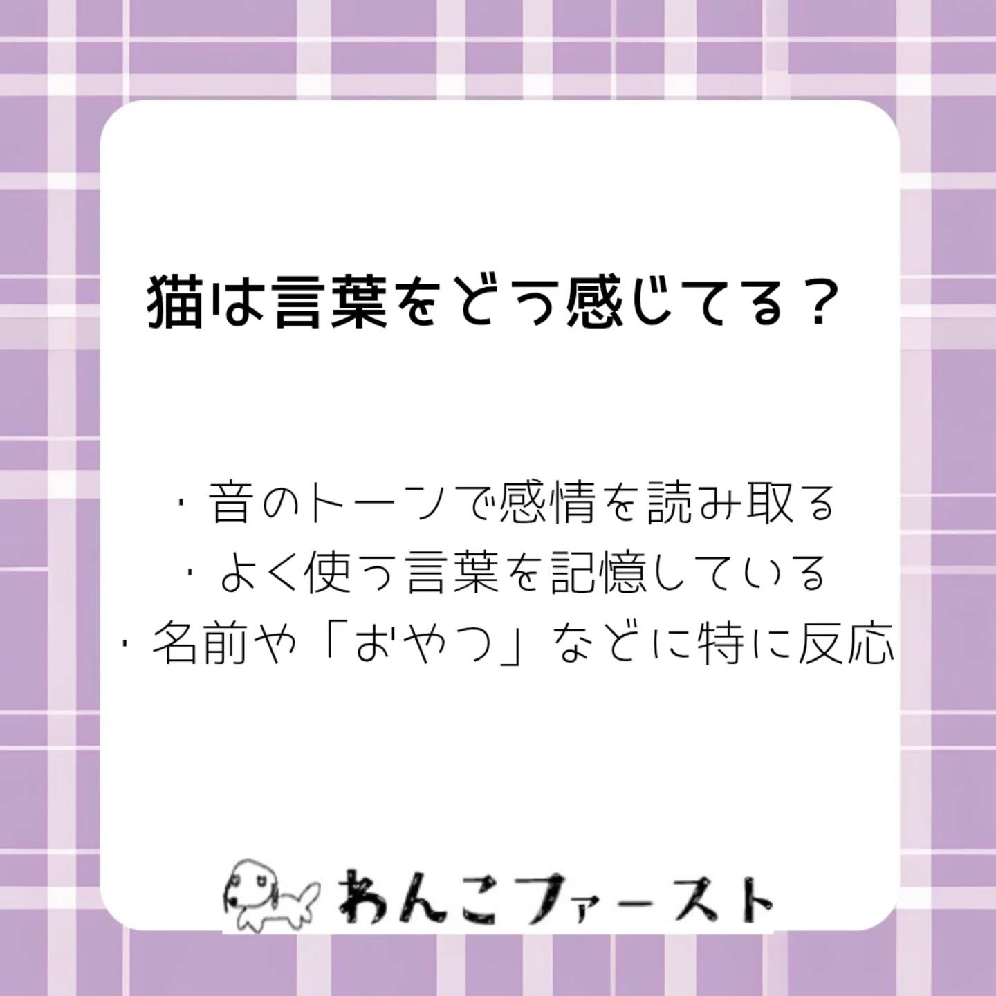 横浜市青葉区のペットシッターわんこファーストです♪