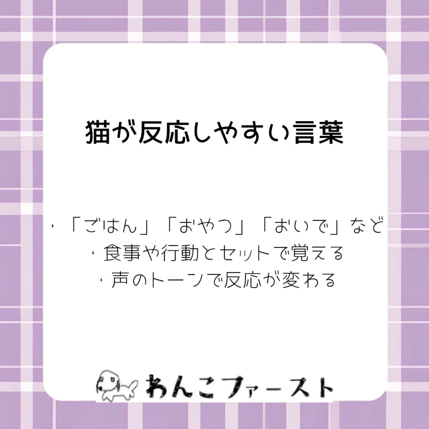 横浜市青葉区のペットシッターわんこファーストです♪