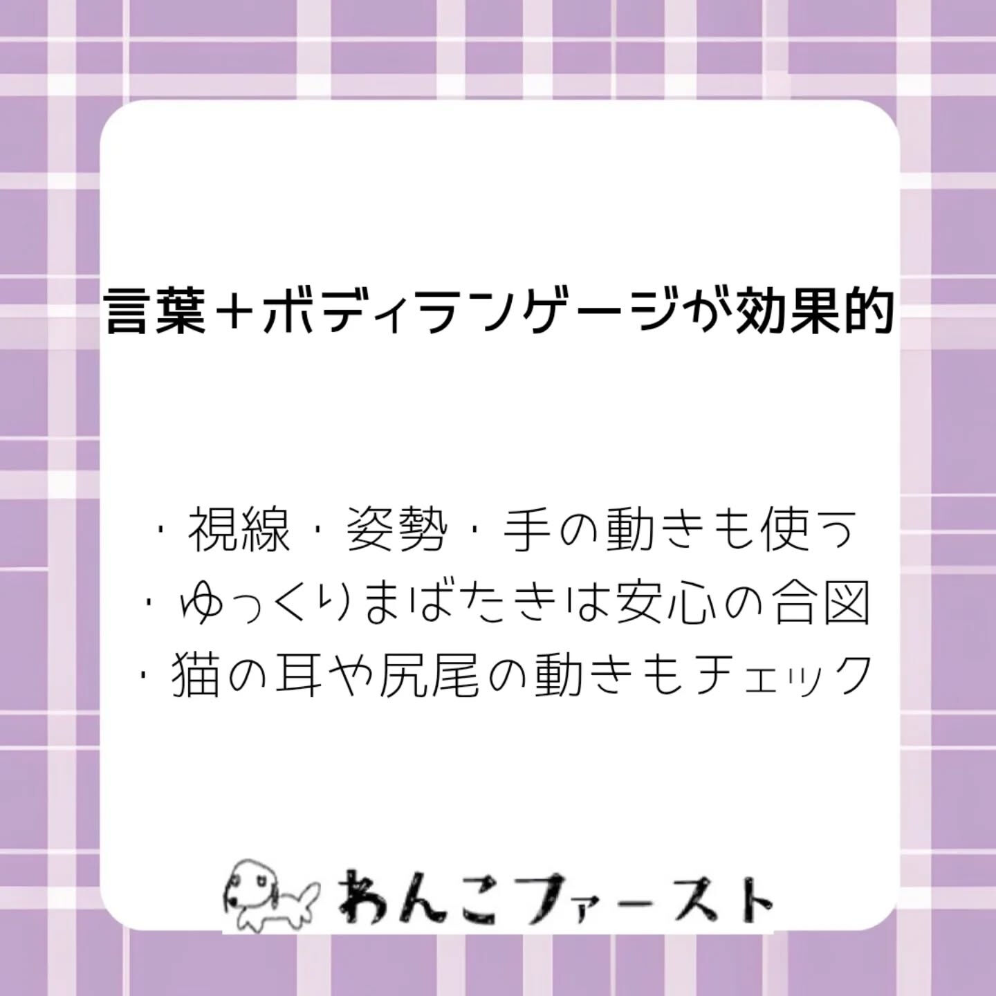 横浜市青葉区のペットシッターわんこファーストです♪