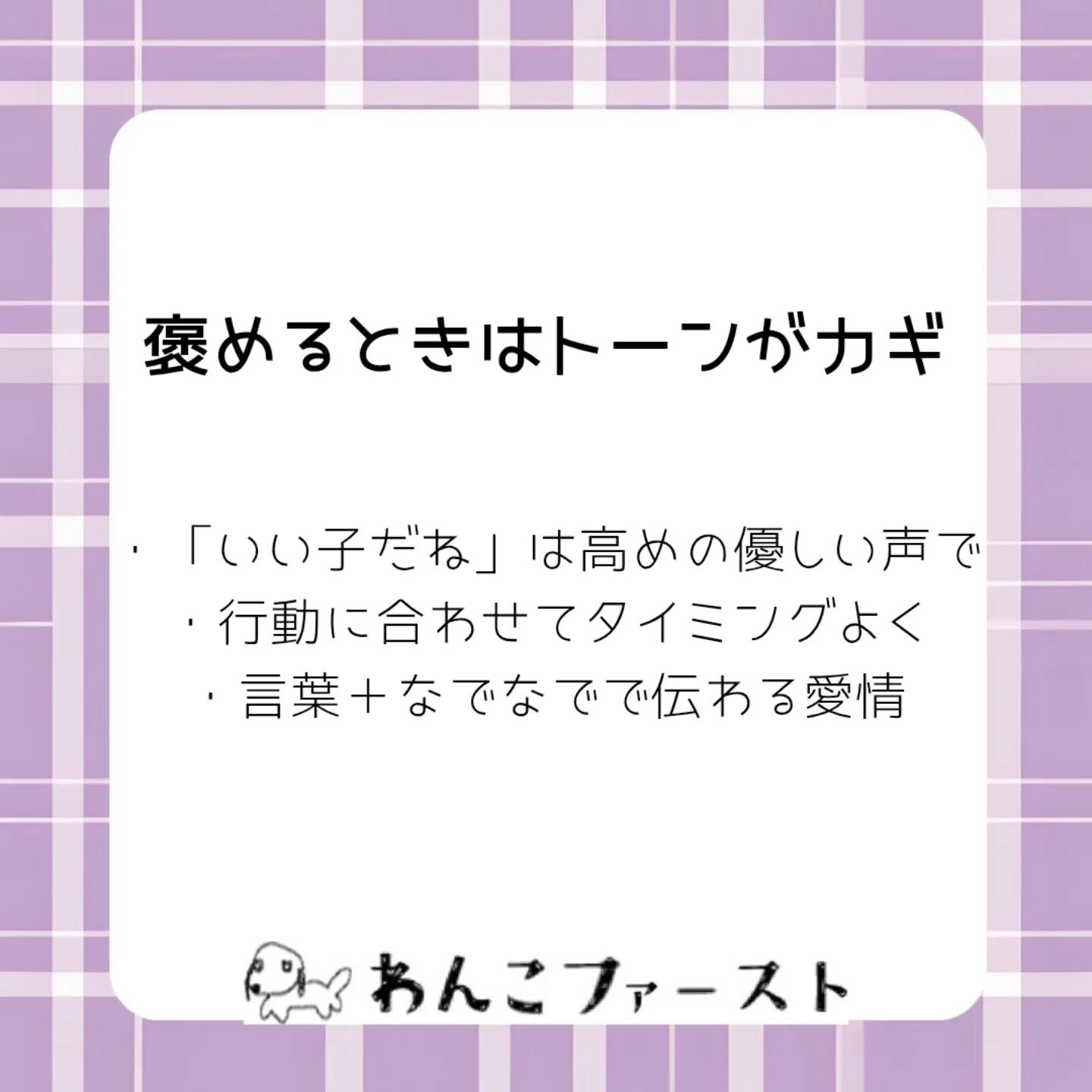 横浜市青葉区のペットシッターわんこファーストです♪