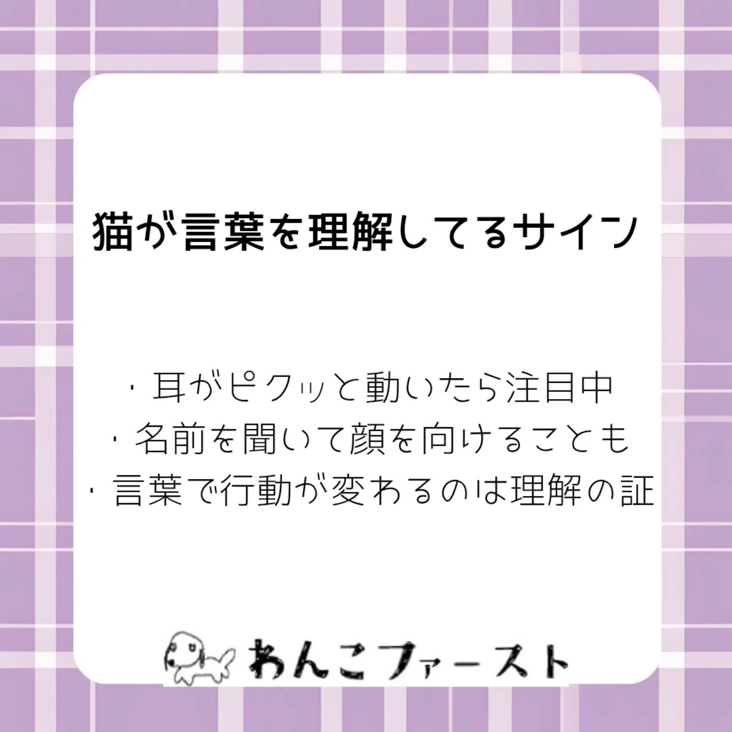 横浜市青葉区のペットシッターわんこファーストです♪