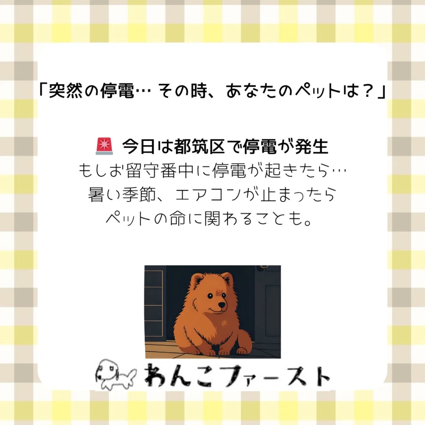 横浜市青葉区のペットシッターわんこファーストです♪